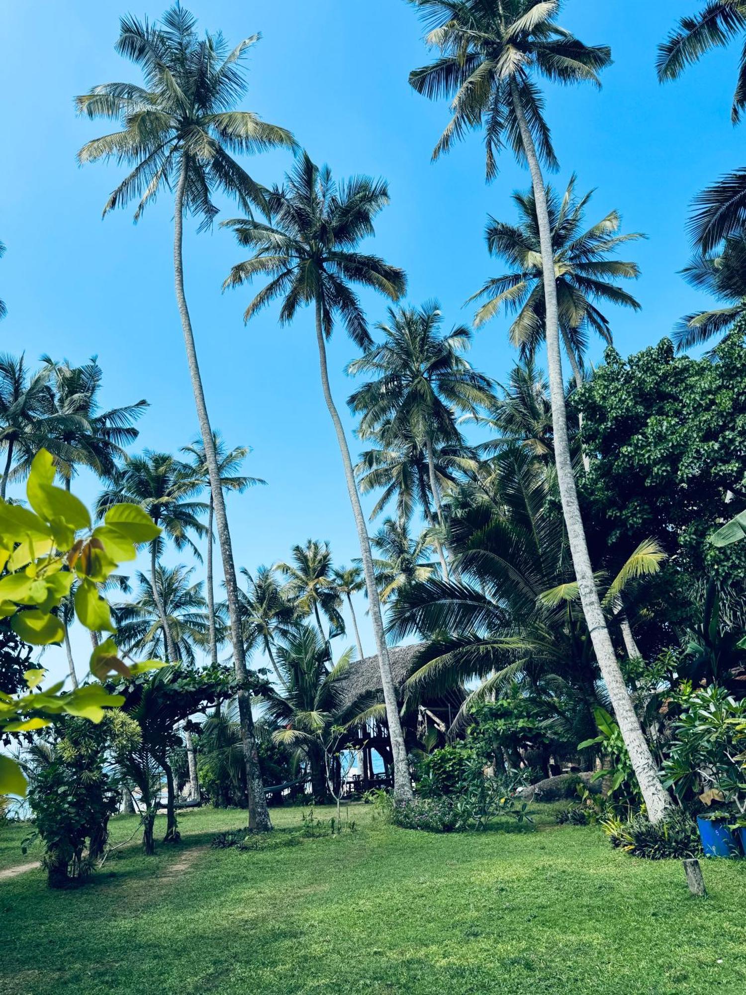 Villa La Kurumba อัมบาลังโกดา ภายนอก รูปภาพ